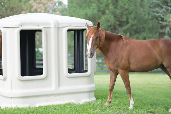 How to maximize feeding hay in pastures