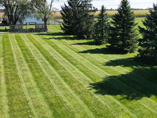 A Different Approach to a Better Lawn