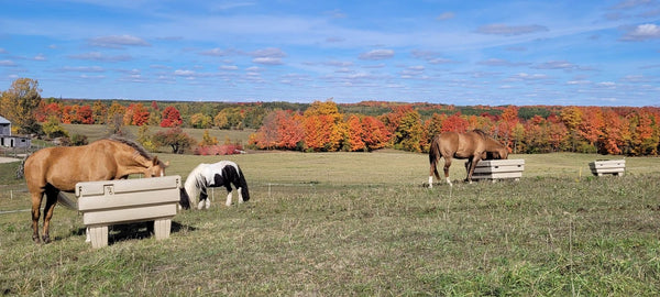 The Hay OptiMizer with Sue Wilson
