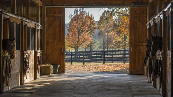 Fall Barn Prep: 10 Smart Tips to Get Your Farm Ready for Colder Weather