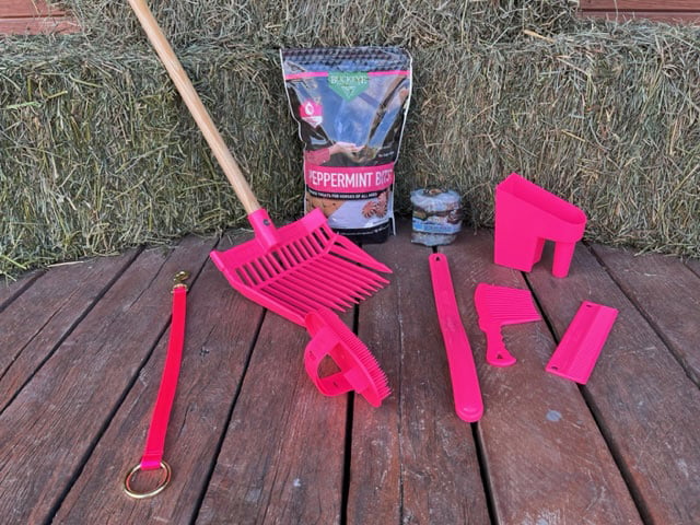 Kid's Little Helper Pink Peppermint Grooming Bundle