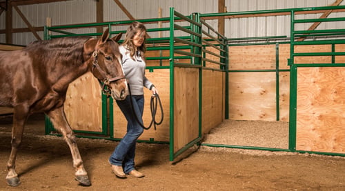 Expo Horse Stall Panels, Front & Side