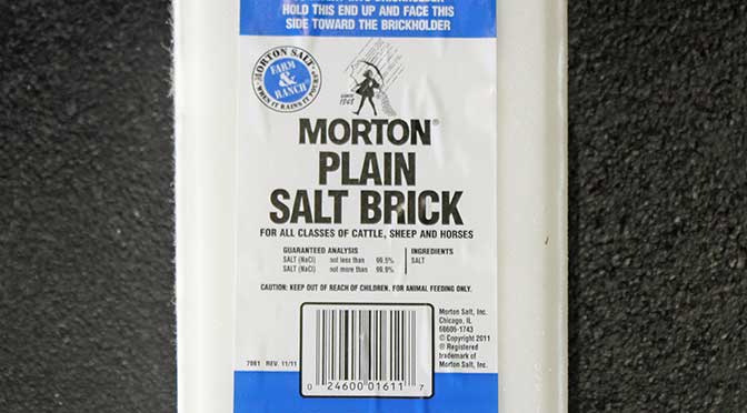 White Salt Block