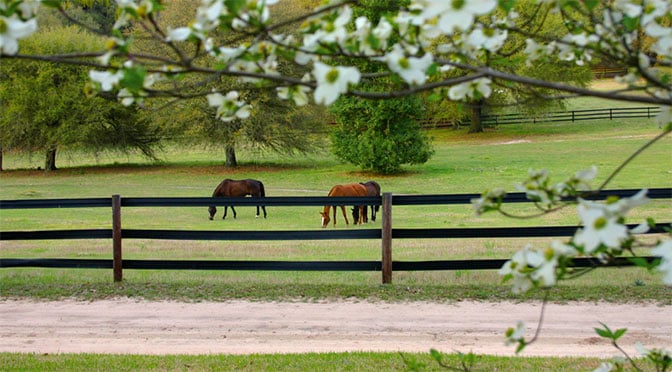 5" Black Cenflex Rail Fence System, 660' Roll