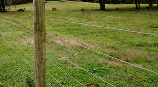 Hi-Tensile Fence Wire, 12.5 Gauge Class 3, 4,000' Roll
