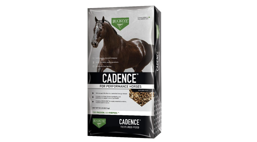 Cadence Performance Horse Feed, 10% Protein