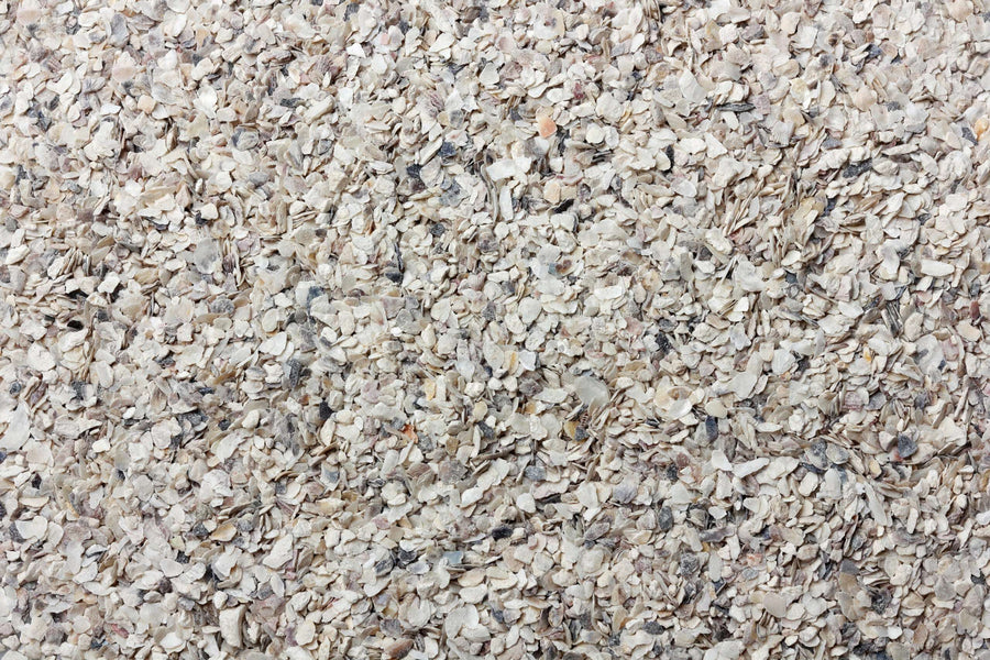 Crushed Oyster Shells for Poultry Calcium Supplement