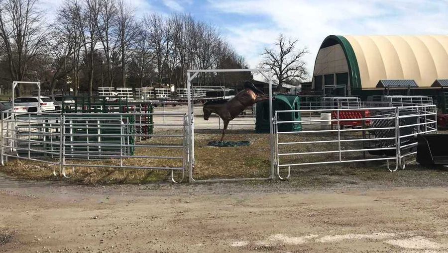 60' Cashmans Aluminum Horse Round Pen, 15 Panels & Walk-Thru