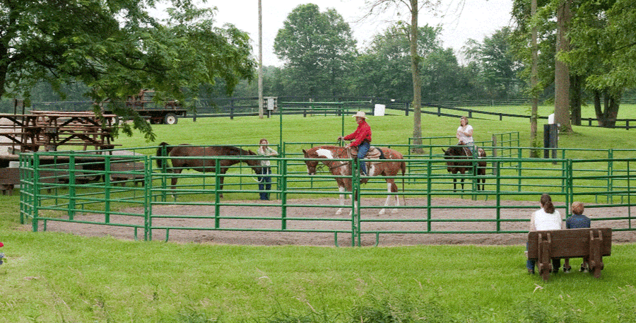 70' Cashmans Super Duty Horse Round Pen, 18 Panels & Walk-Thru - 6' High