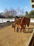 Mud Solutions Part 2 - Mud Management on Horse Farms