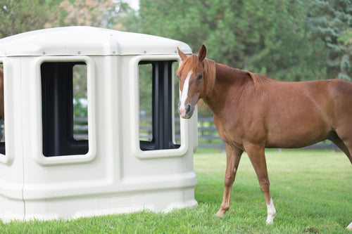 How to maximize feeding hay in pastures