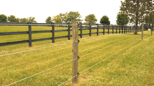 How to Pick the Best Livestock Fencing