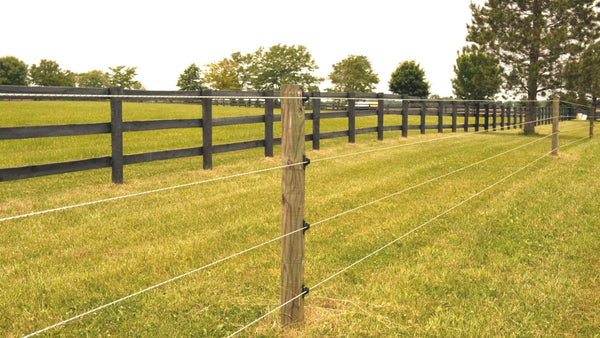 How to Pick the Best Livestock Fencing