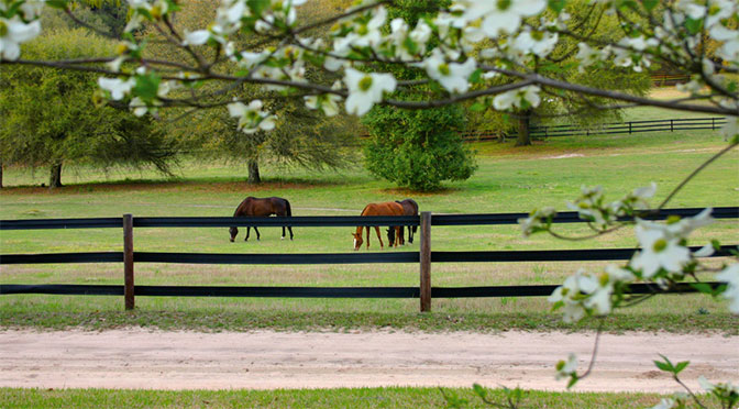 Are your Pastures Ready for Spring?
