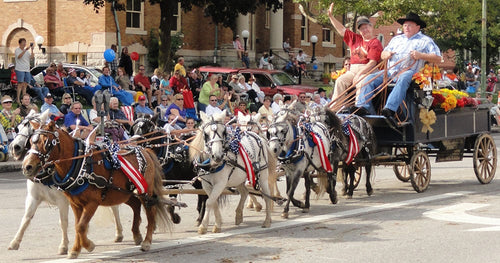 I Love a (Horse) Parade