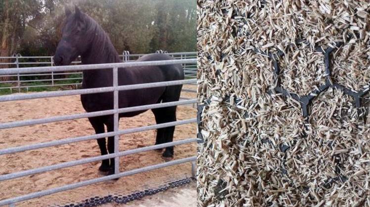 Stable Smarts - Designing a Sustainable Barn