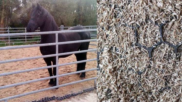 Stable Smarts - Designing a Sustainable Barn
