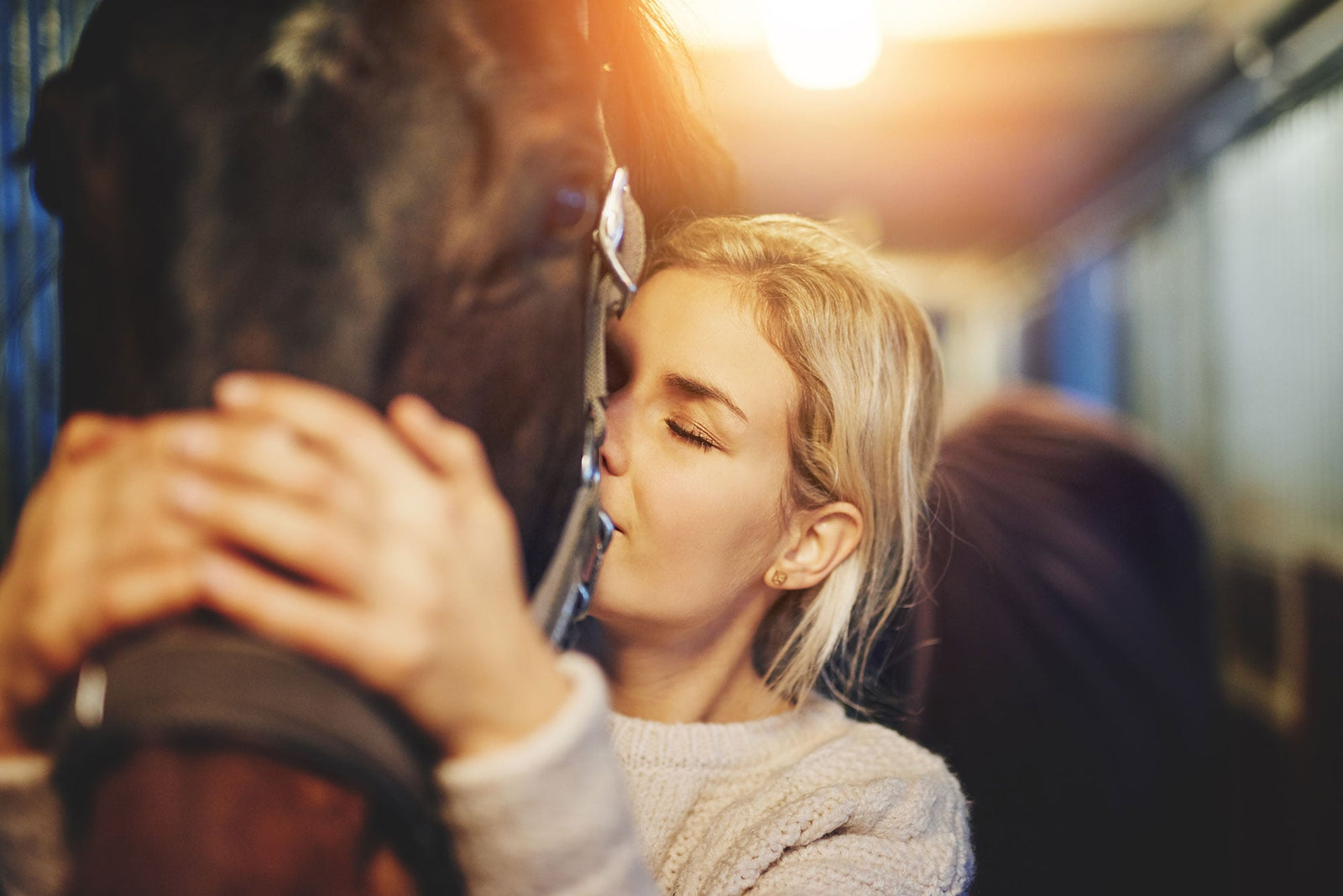 New Year’s Resolution – Bringing Your Horses Home