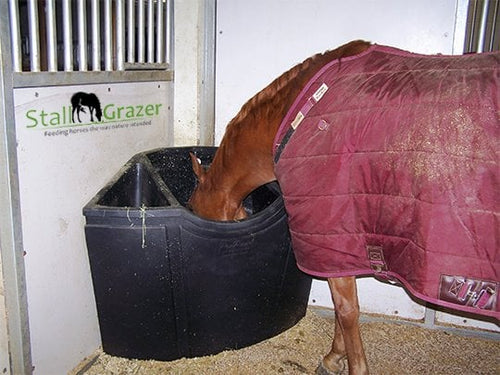 Innovative Stall Feeder Options