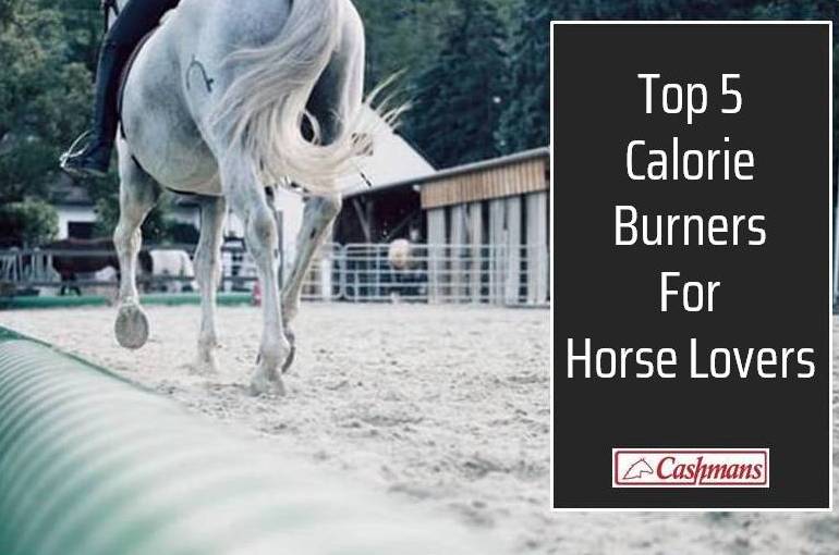 Top 5 Calorie Burners for Horse Lovers