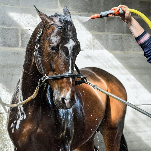 Wash Bay 101