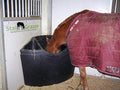 Innovative Stall Feeder Options