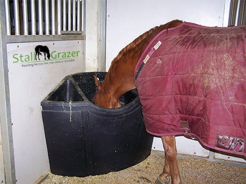 Innovative Stall Feeder Options