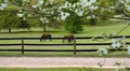 Are your Pastures Ready for Spring?