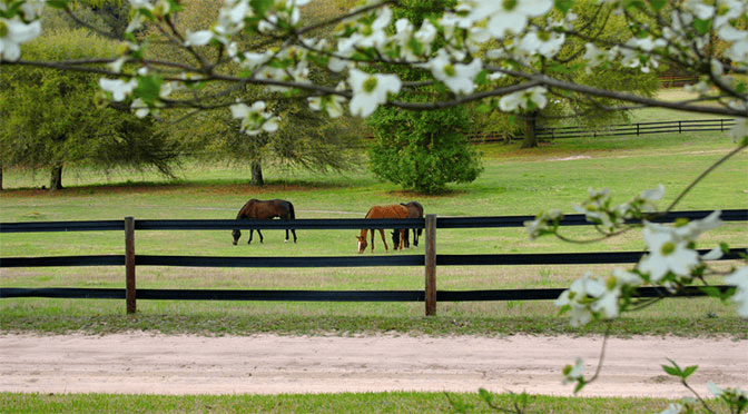 Are your Pastures Ready for Spring?