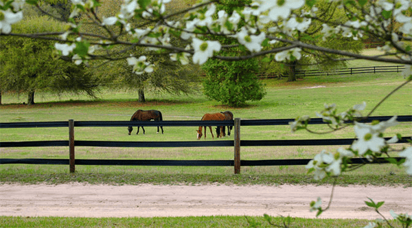 Are your Pastures Ready for Spring?
