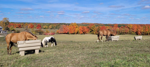 The Hay OptiMizer with Sue Wilson