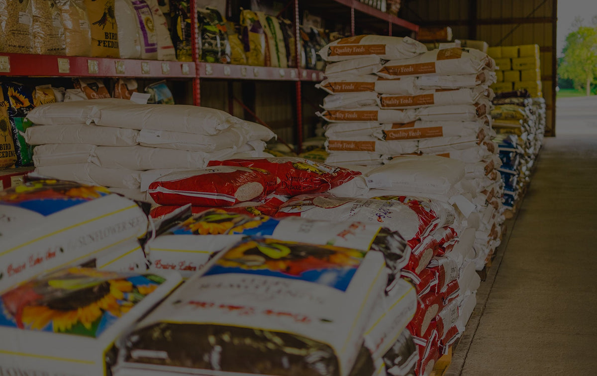 Feed Room Safety Tips