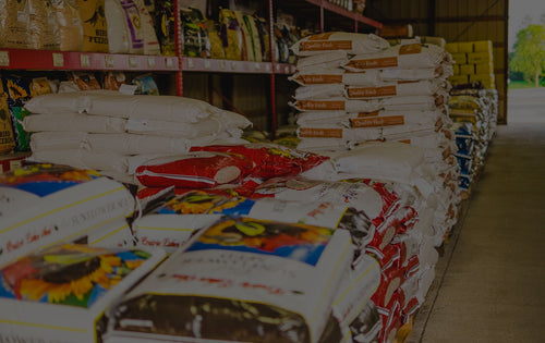 Feed Room Safety Tips