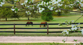 On The Fence - Part 2 of 4