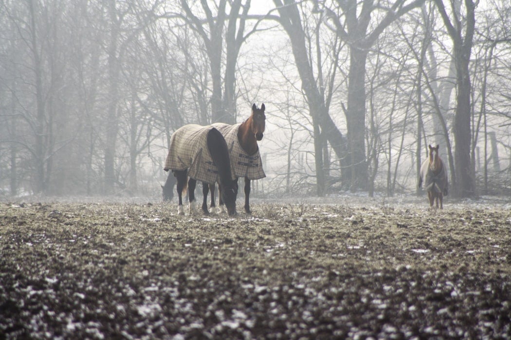 Autumn Stable Checklist
