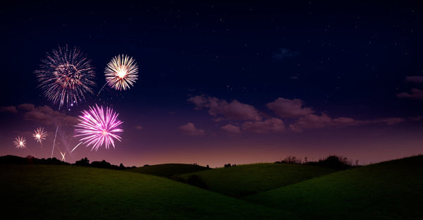 Red, White & BOOM! 6 Tips For Horse Safety