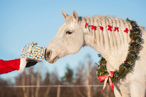 Gift Ideas For Horse Lovers