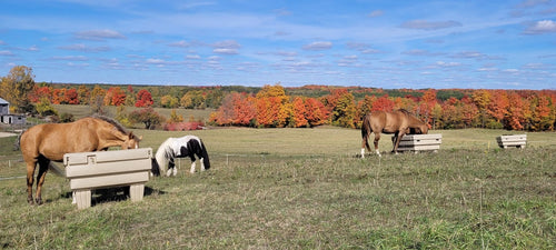 The Hay OptiMizer with Sue Wilson