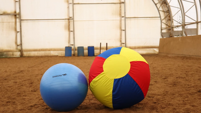 Arena Toys & Accessories