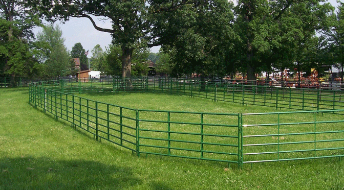 100' x 200' Cashmans Standard Horse Riding Arena, 48 Panels with 2 Walk-Thrus