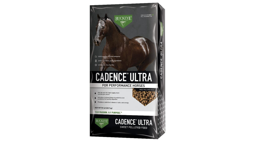 Cadence Ultra Performance Horse Feed, 14% Protein