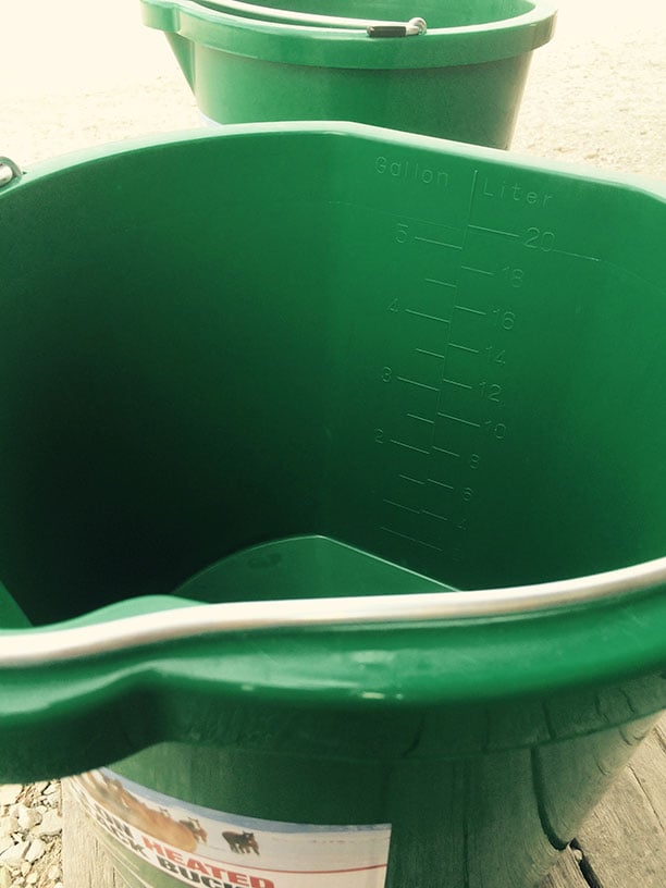 5 Gallon Heated Water Bucket with Thermostat for Livestock — alternate view 4