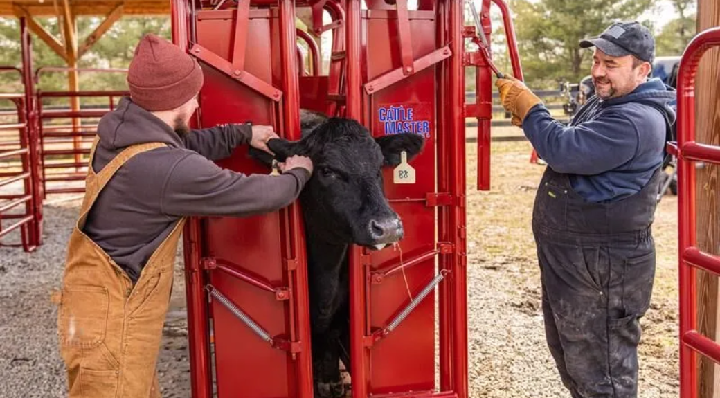 Cattlemaster Series 6 Self-Catching Heavy Duty Cattle Headgate — alternate view 6