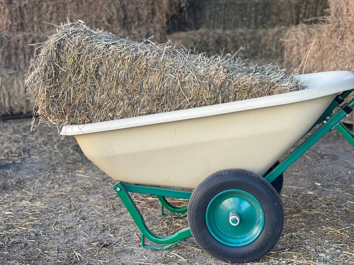Load Dumper Wheelbarrow, No-Lift, 6 or 8 Cu Ft — alternate view 3