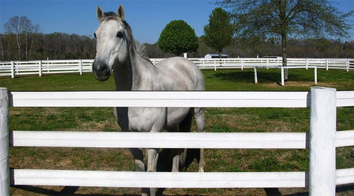 5" White Cenflex Rail Fence System, 660' Roll