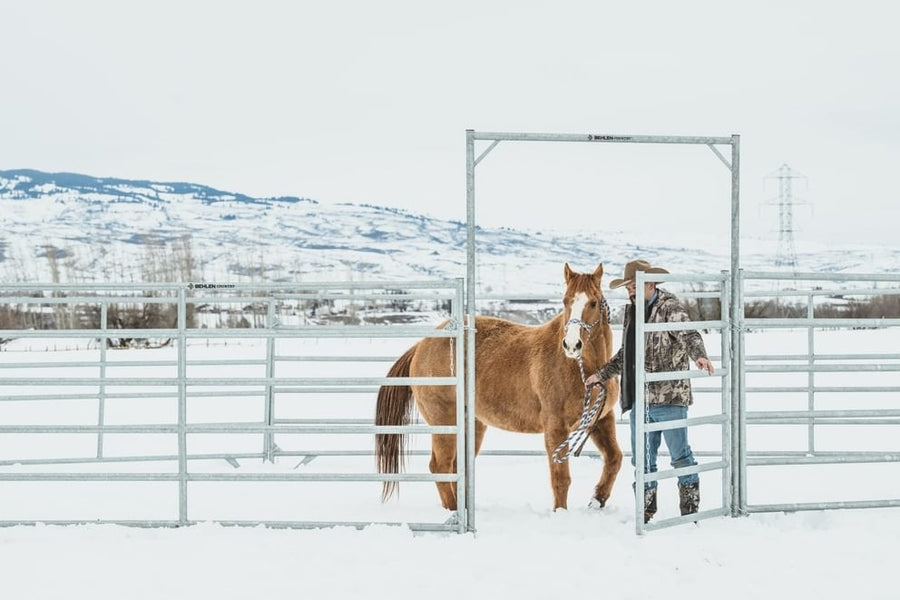80' Cashmans Hot Dipped Galvanized Horse Round Pen, 21 Panels & Walk-Thru - 6' High