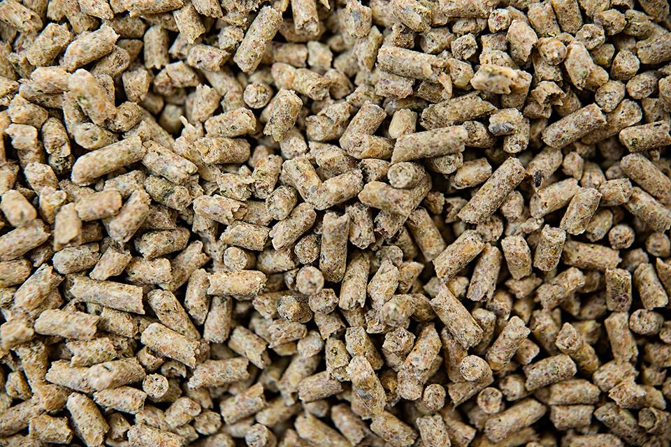 Gro N Win Horse Feed Balancer, 32% Protein — alternate view 2