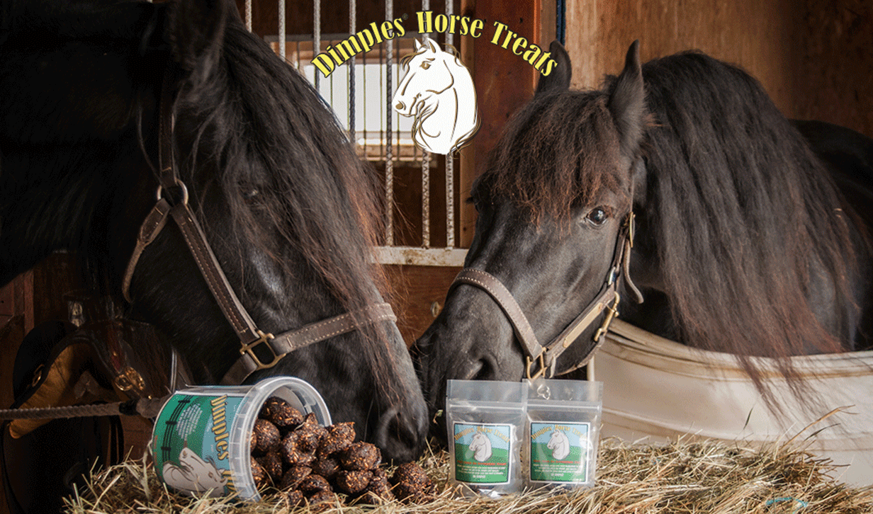 Dimples Horse Treats for Easy Medication, 1.5 or 3 lb — alternate view 5