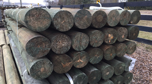 6" x 9' Pressure Treated Southern Yellow Pine Cylinder Fence Post