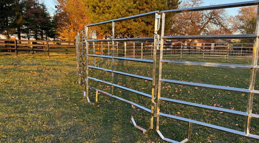 80' Cashmans CS Stainless Steel Horse Round Pen, 21 Panels & Walk-Thru — alternate view 3